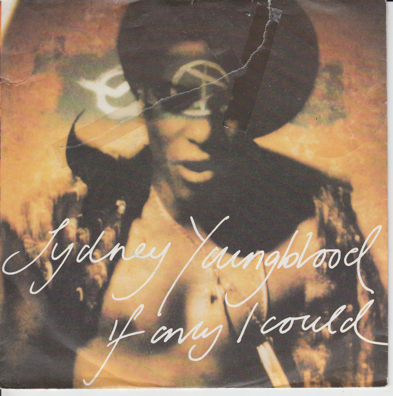 Sydney Youngblood – If Only I Could