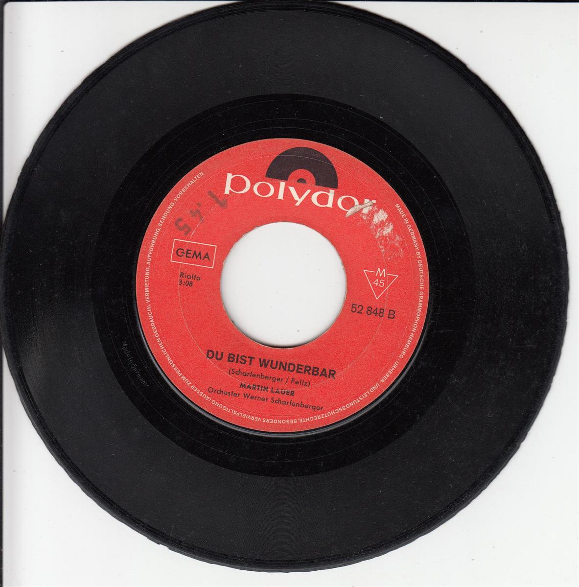 Martin Lauer - Rosen Ohne Dornen