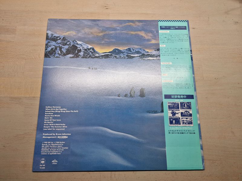 The Beach Boys - Keepin' The Summer Alive (Japan)